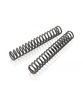 Fork spring set 