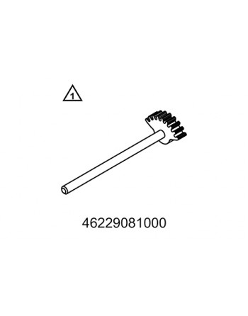 Segmento dentado