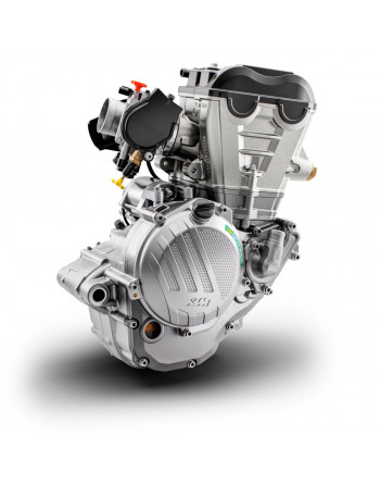 Engine 250 EXC-F